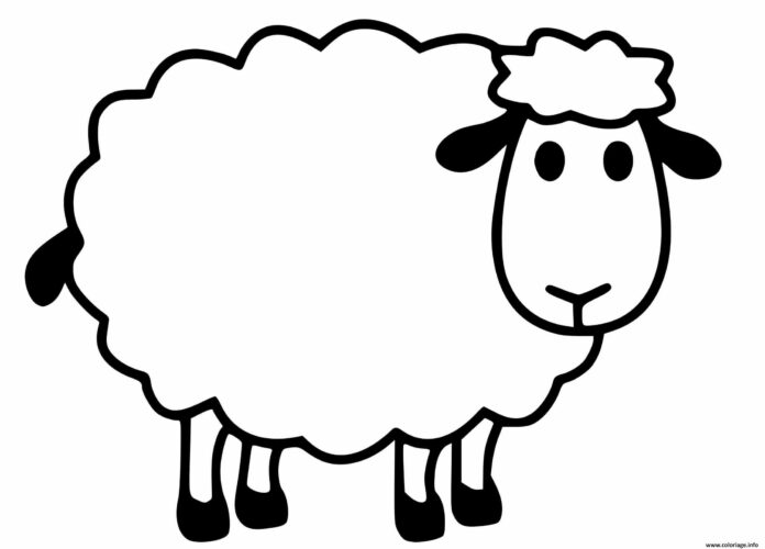 Les lycéens et les moutons
